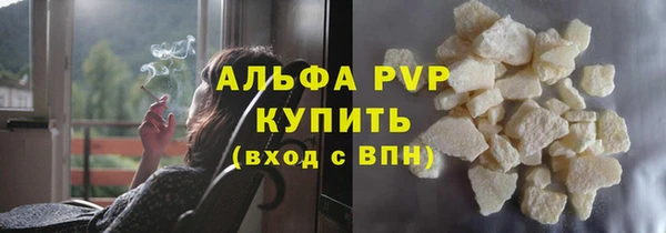 стаф Белокуриха