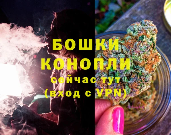 стаф Белокуриха