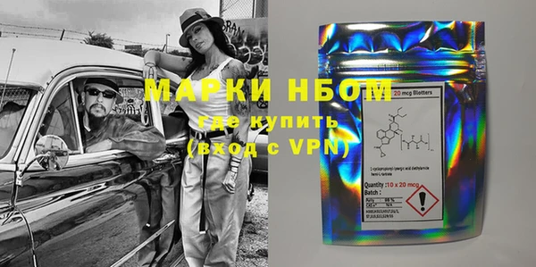 стаф Белокуриха