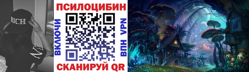 как найти наркотики  Шумиха  Псилоцибиновые грибы Psilocybine cubensis 